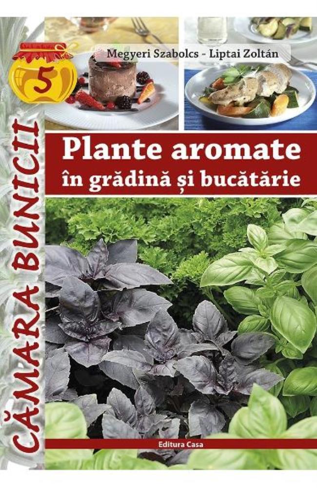 Plante aromatice in gradina si bucatarie