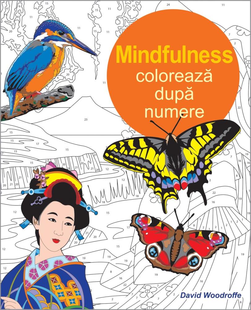 Coloreaza dupa numere - Mindfulness